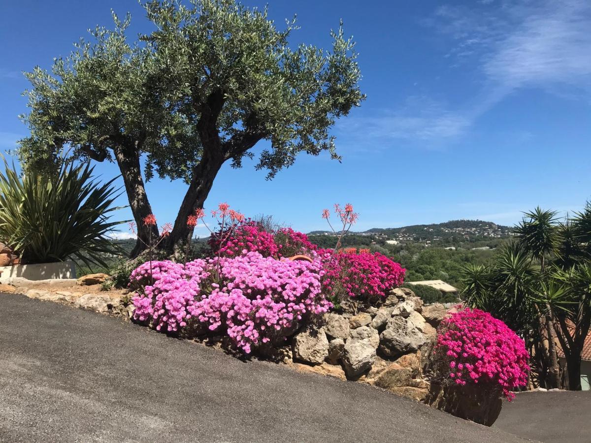 3 Bedrooms Villa Near Cannes - Pool & Jacuzzi - Sea View Манделю-ла-Напул Екстериор снимка